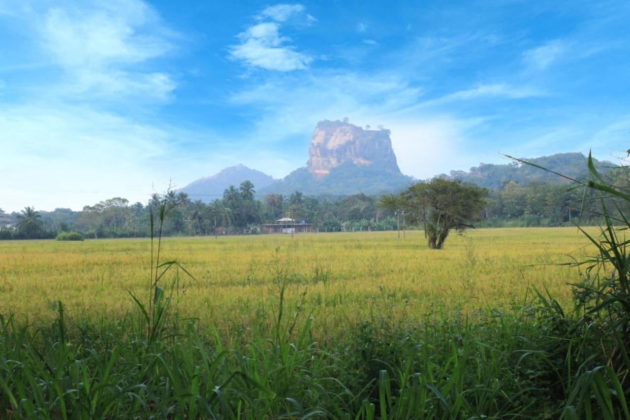 Sigiriya Hillside View Villa Esterno foto