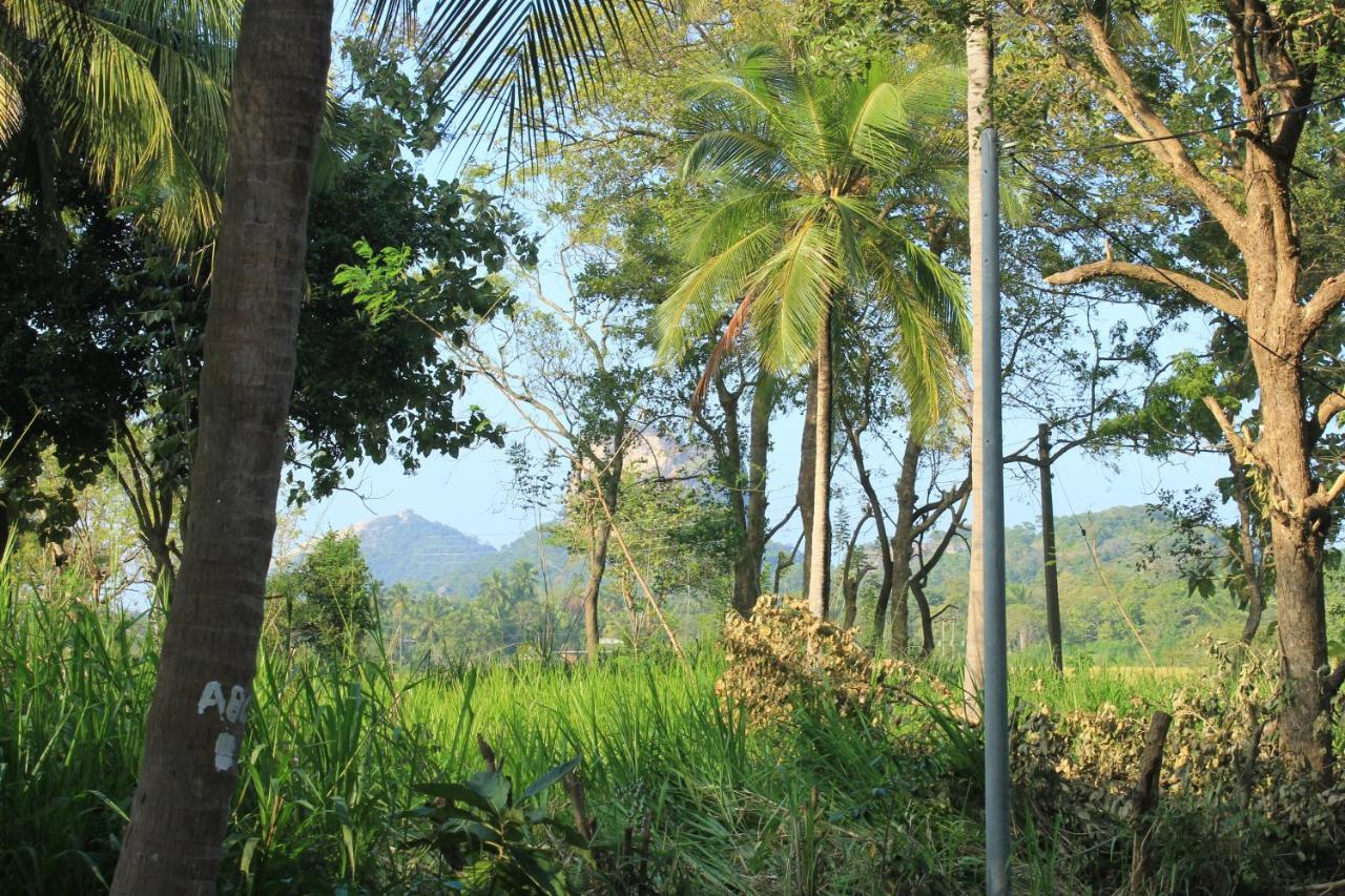 Sigiriya Hillside View Villa Esterno foto